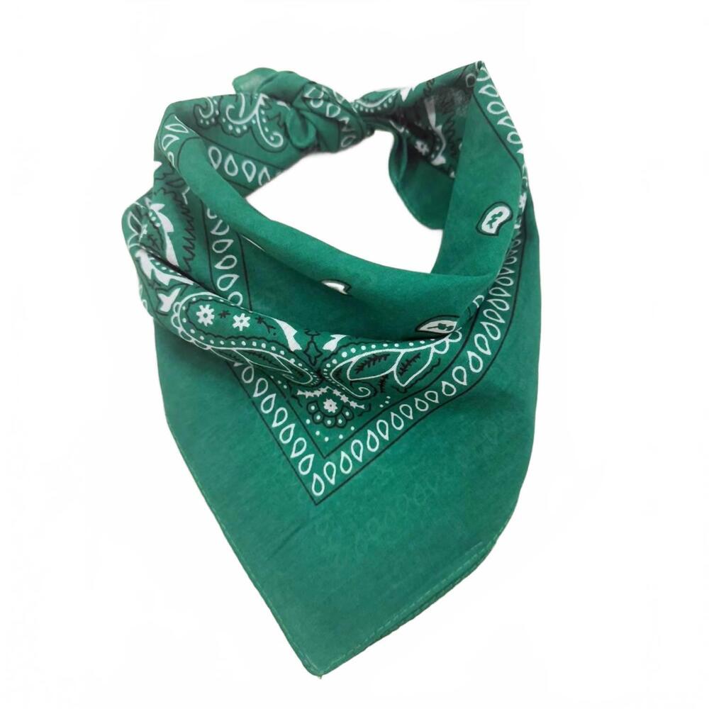 NEW LOVE AND REPEAT unisex paisley pattern bandana in green